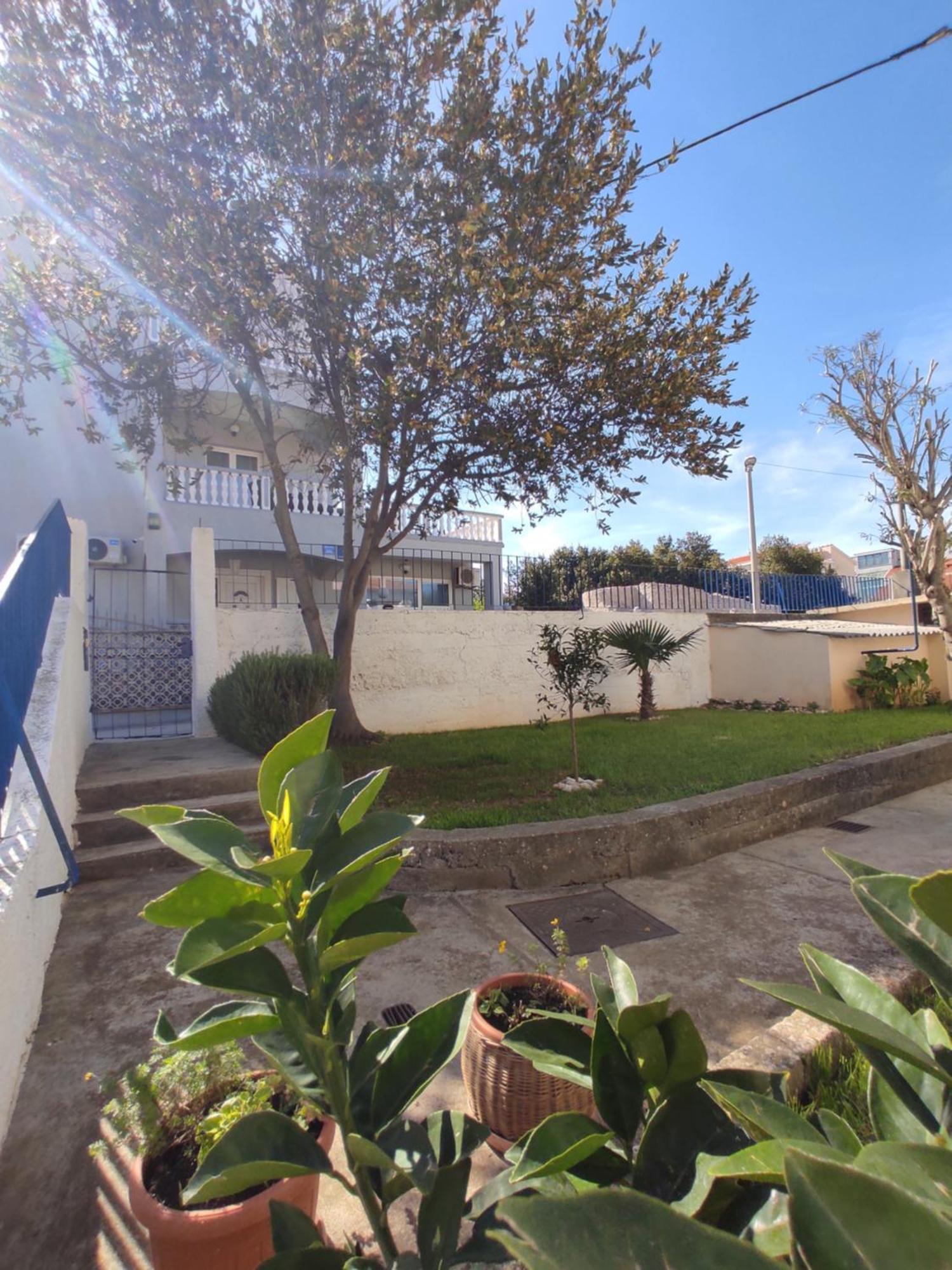 Apartment Punta Faro Zadar
