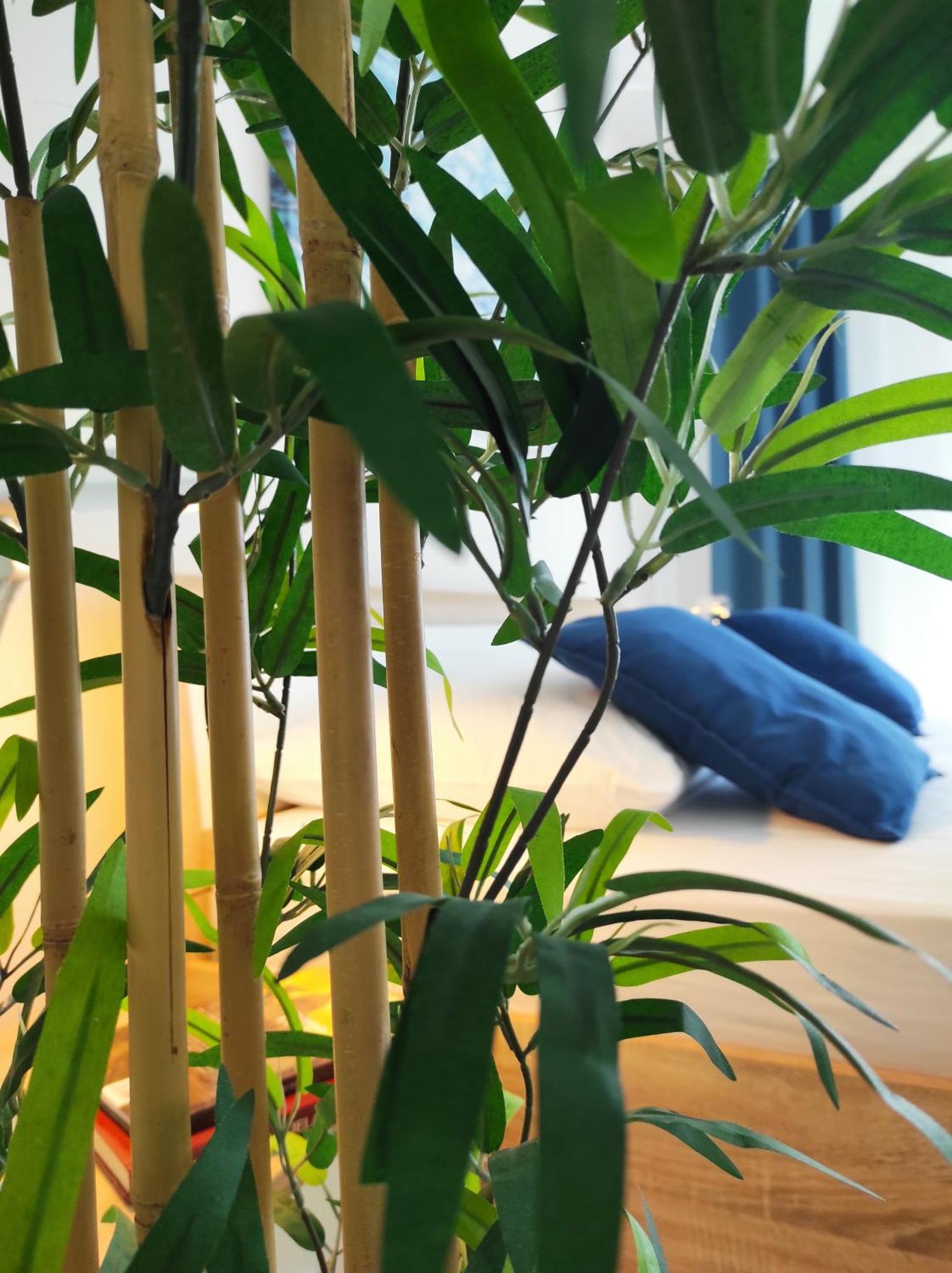 Apartment Punta Faro *